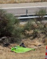 安全第一若塔车祸公路限速120公里，调查显示车速或超140km/h