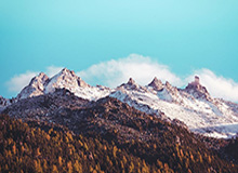 米乐app下载：一站式智慧生活的全新入口