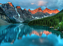 huatihui：在花香与安静之间，遇见更好的自己